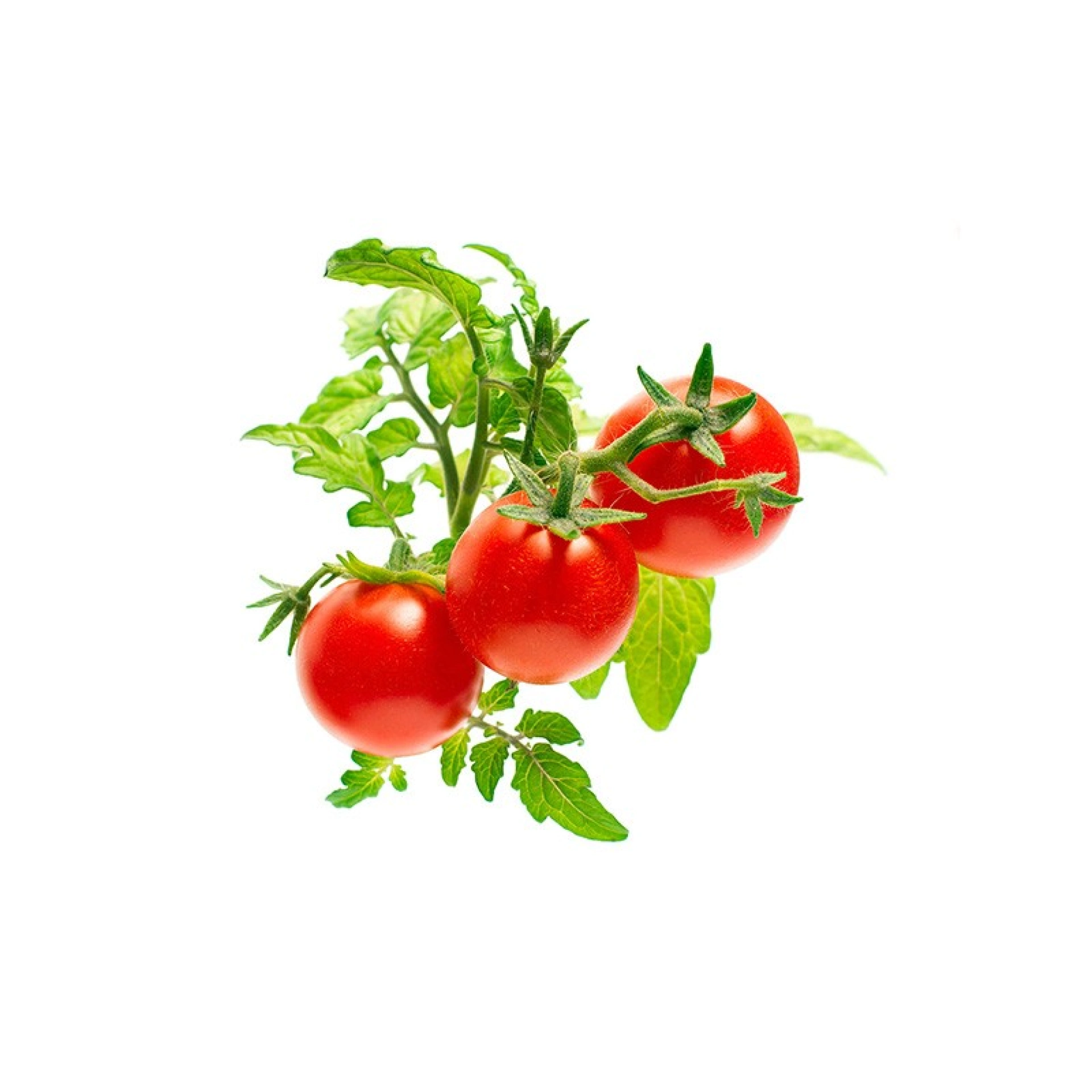 Recharges de Graines Click and Grow
