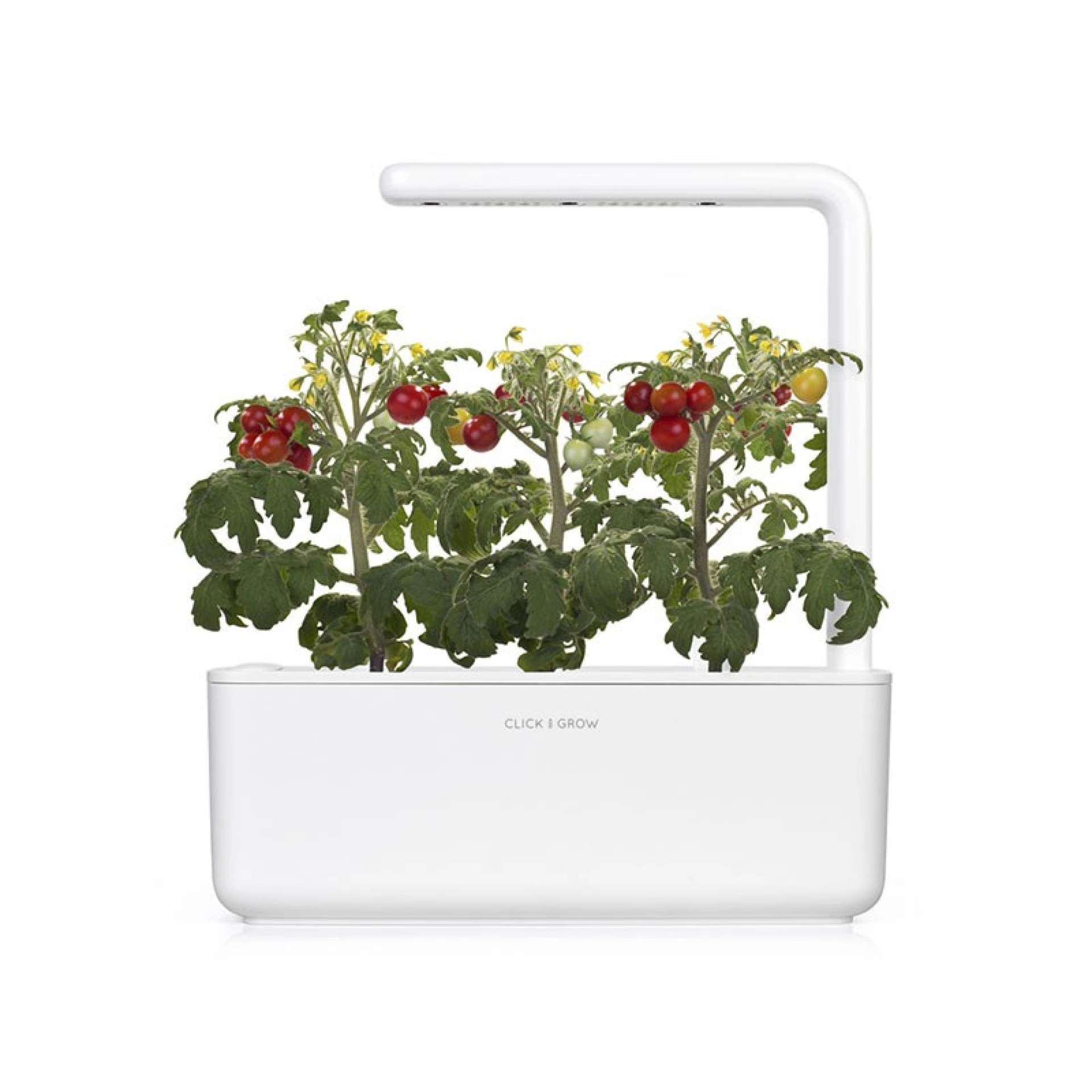 Recharges de Graines Click and Grow