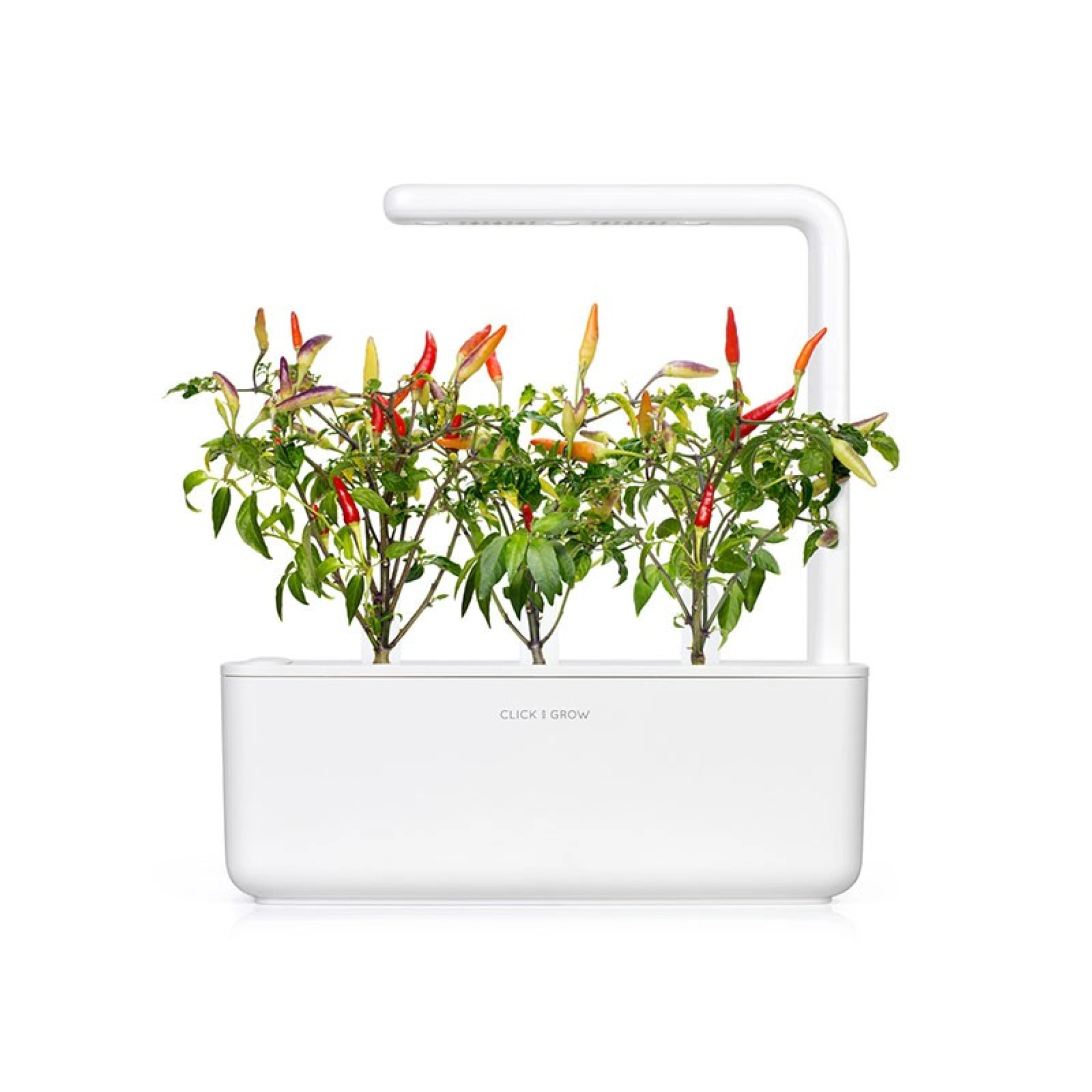 Recharges de Graines Click and Grow