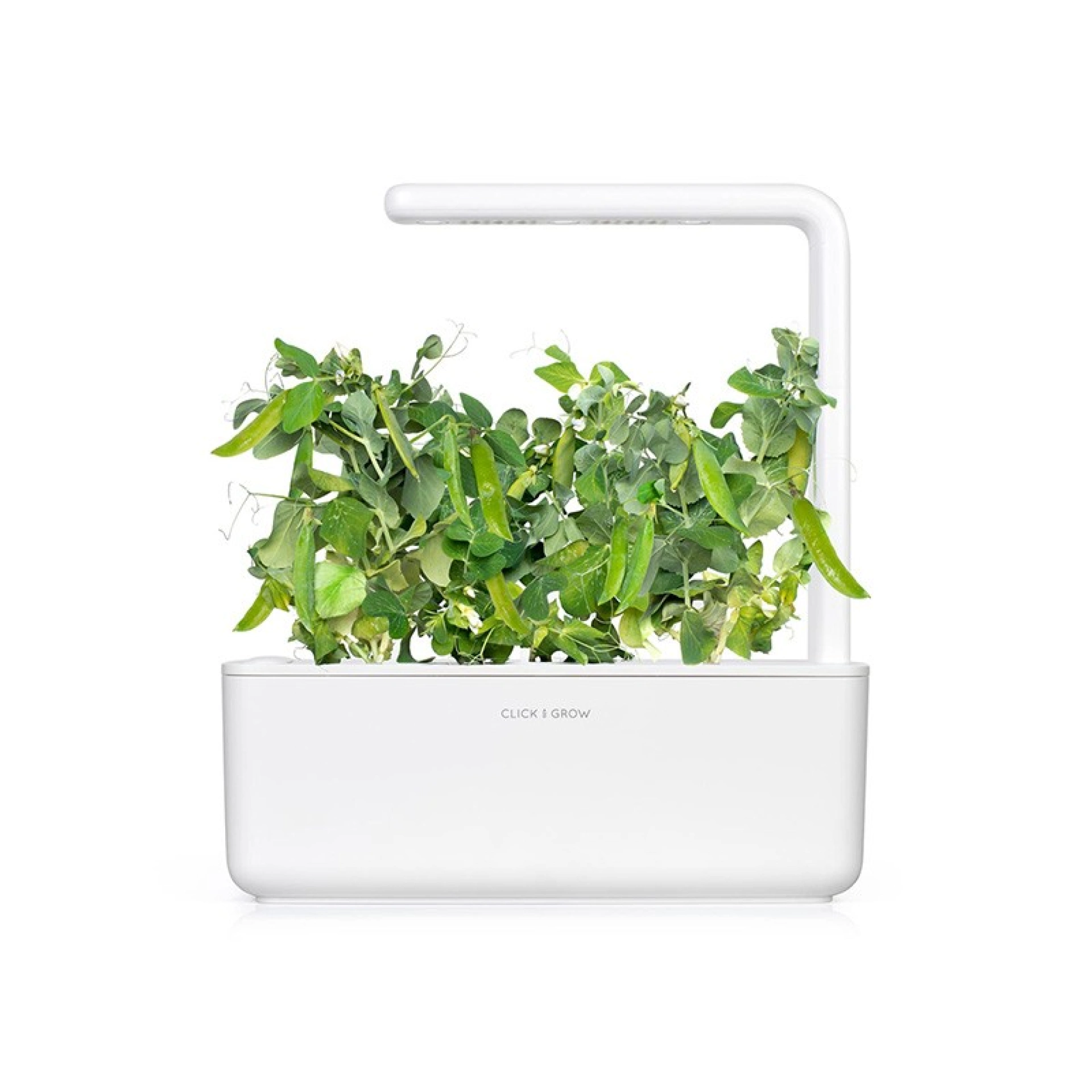 Recharges de Graines Click and Grow