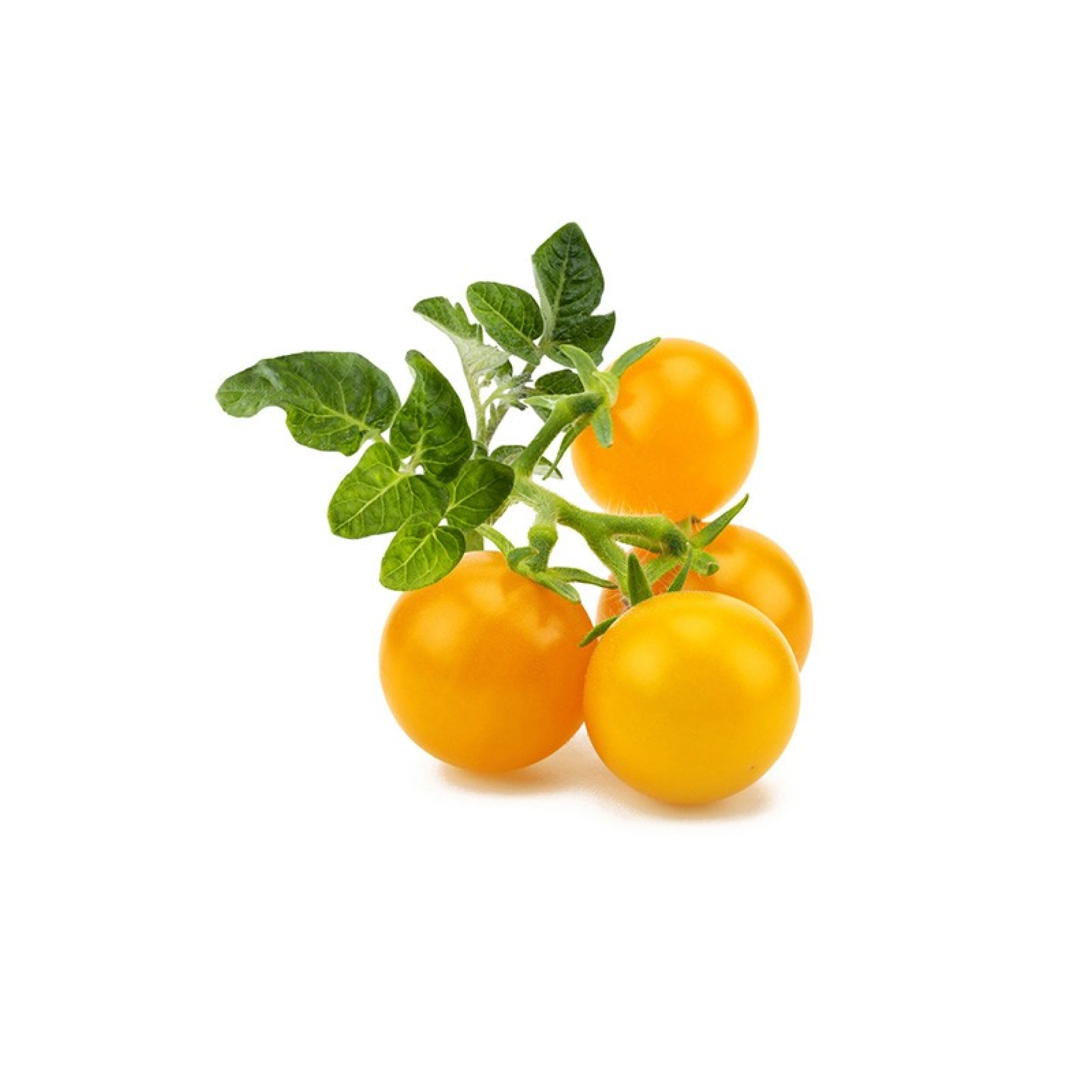 Recharges de Graines Click and Grow