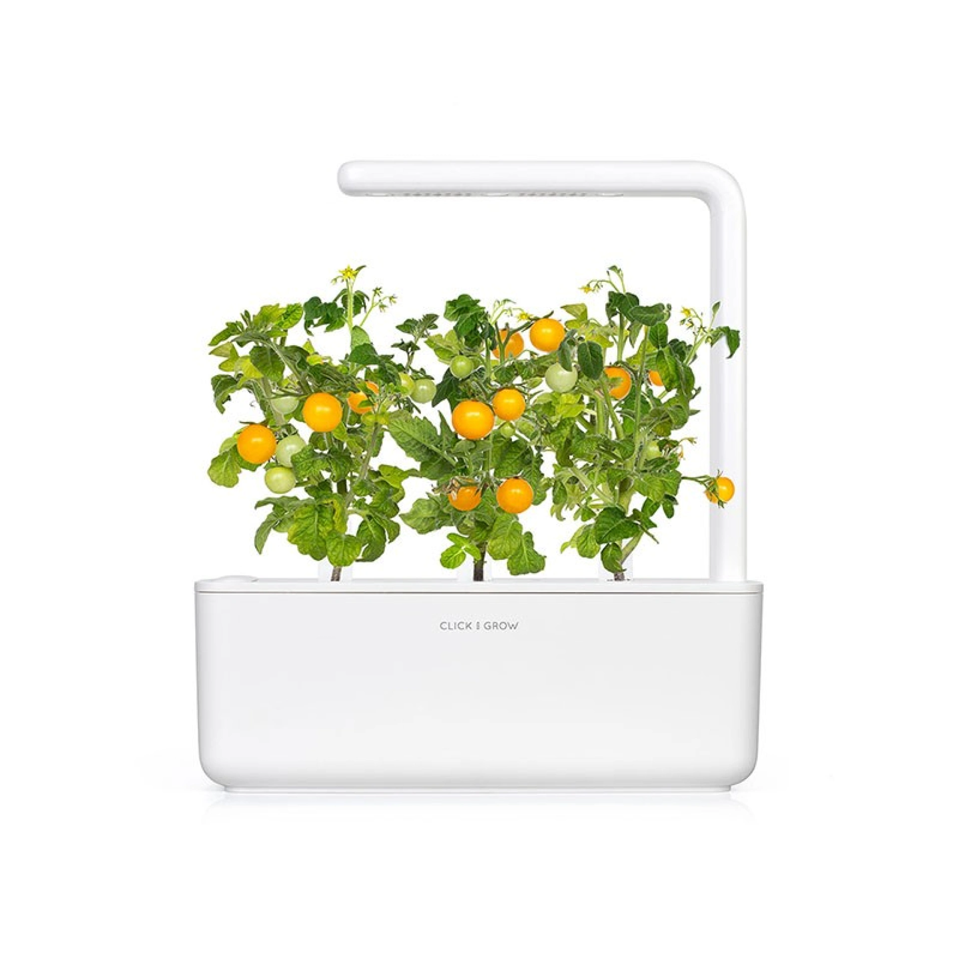 Recharges de Graines Click and Grow