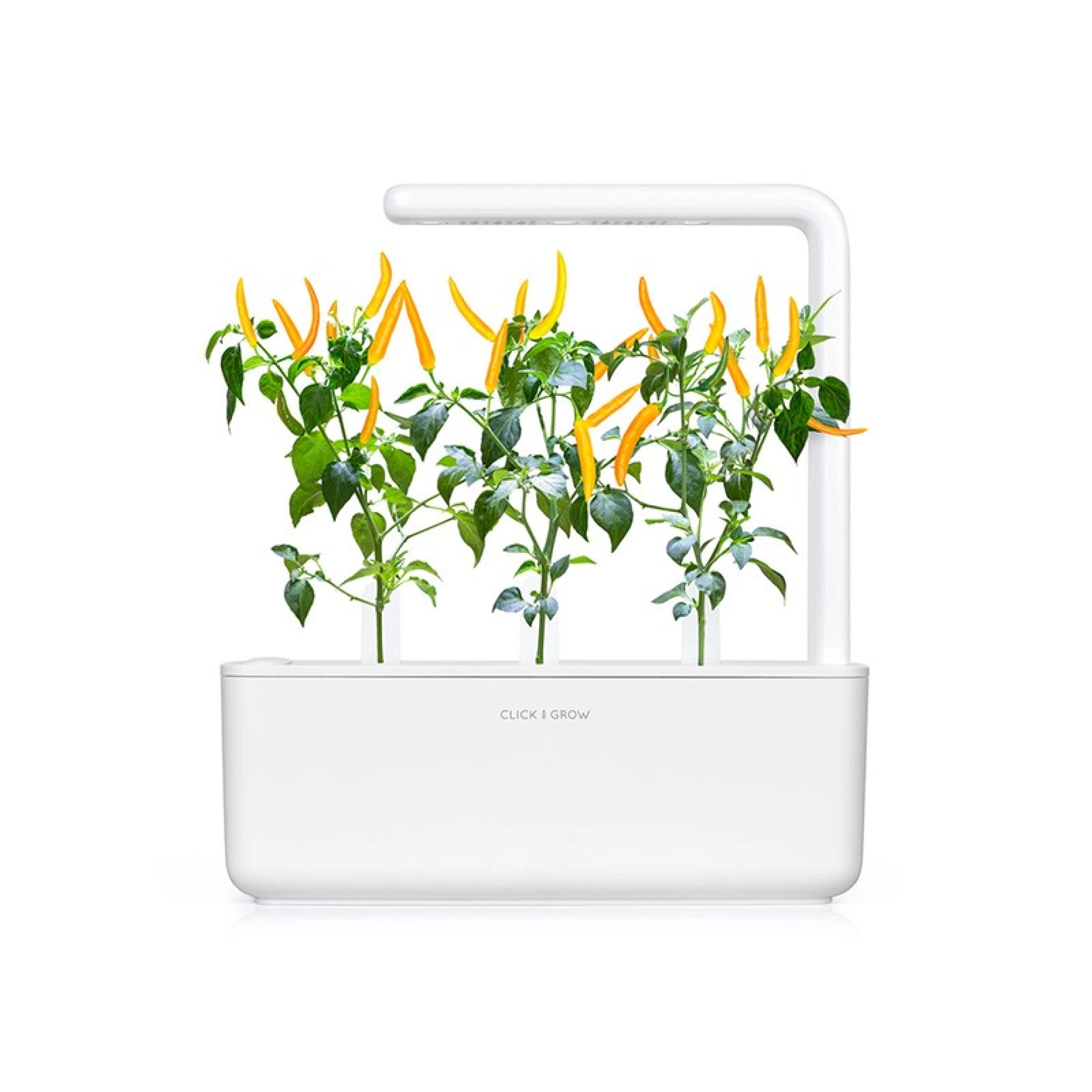 Recharges de Graines Click and Grow