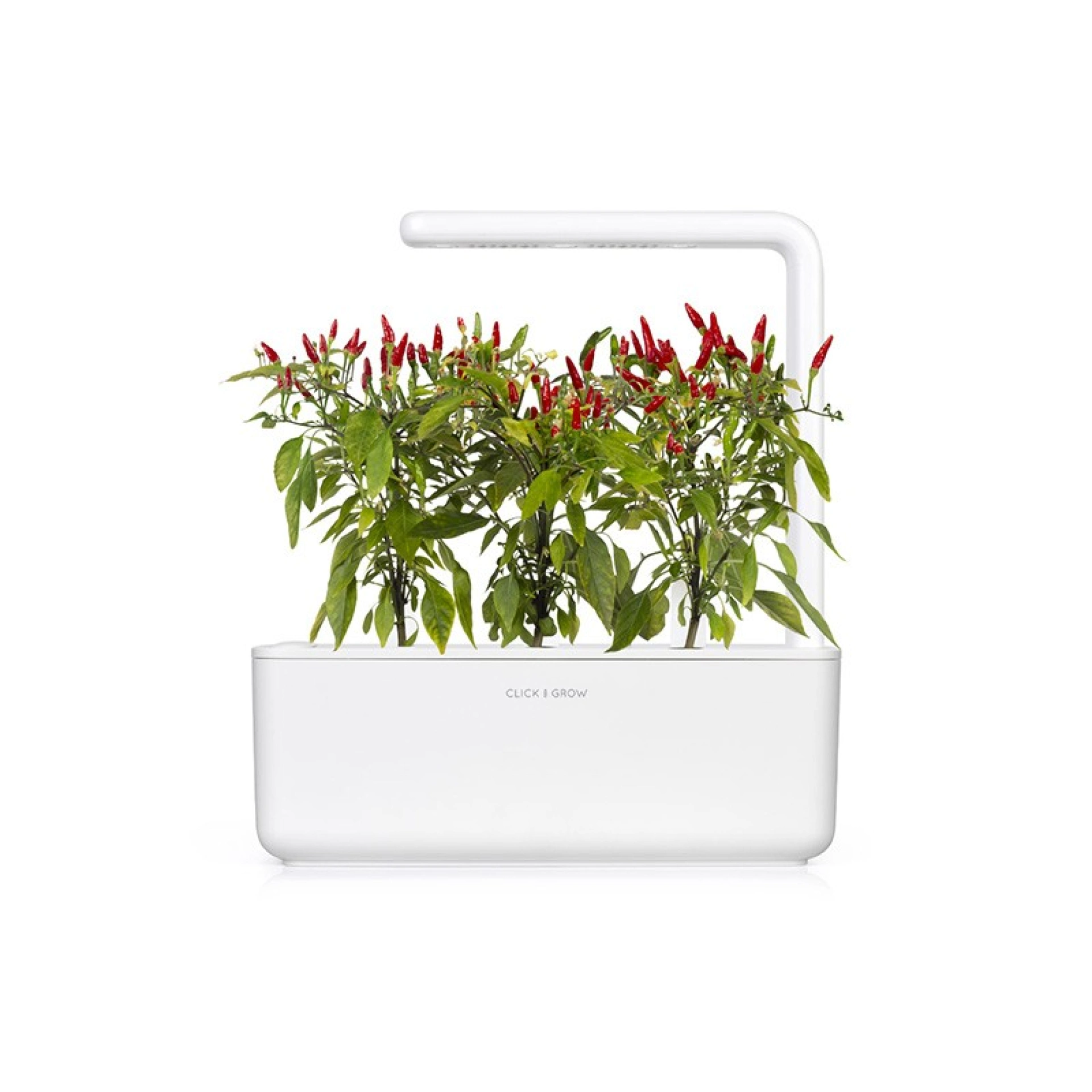 Recharges de Graines Click and Grow