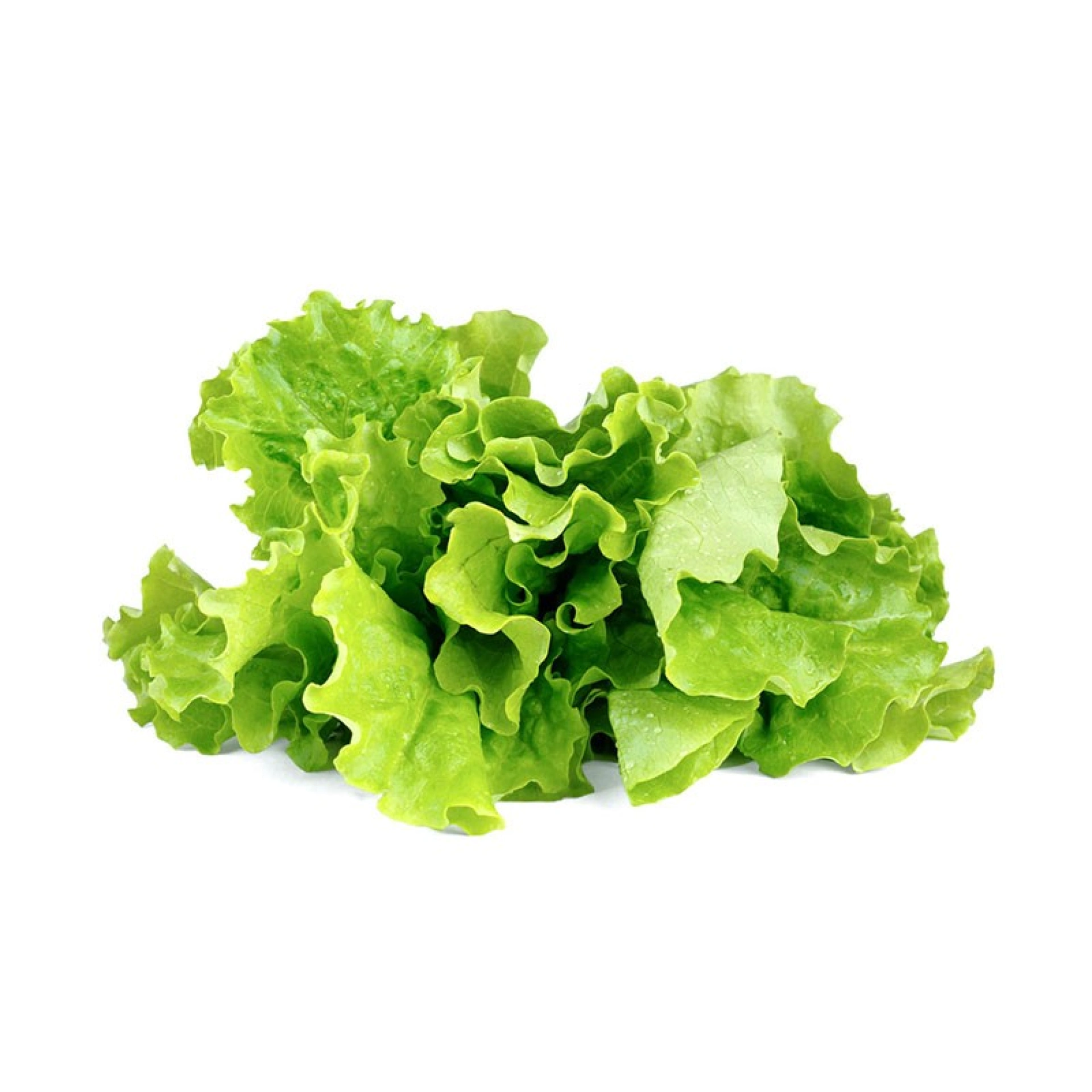 Recharges de Graines Click and Grow