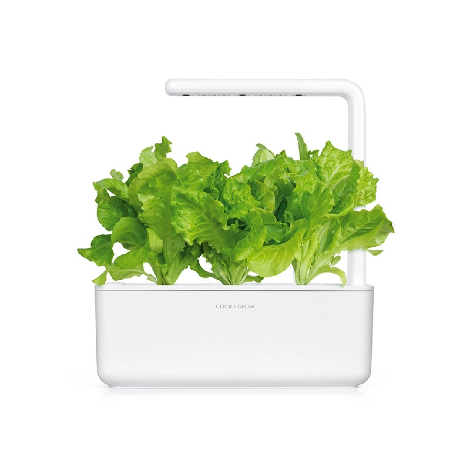 Recharges de Graines Click and Grow