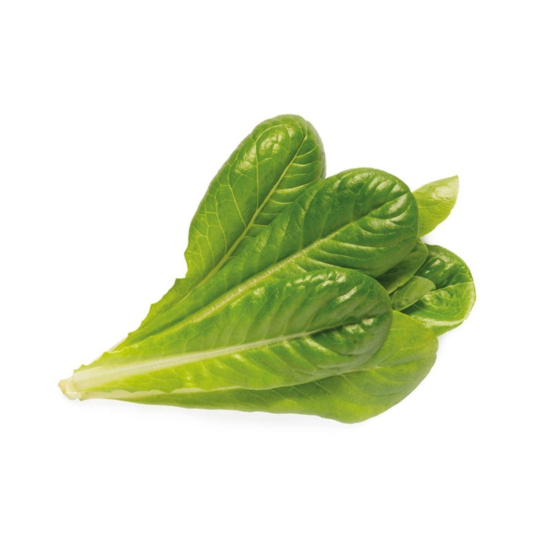 Recharges de Graines Click and Grow