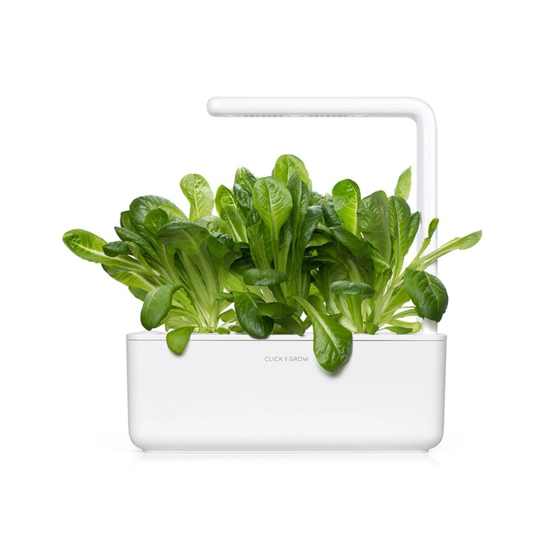 Recharges de Graines Click and Grow