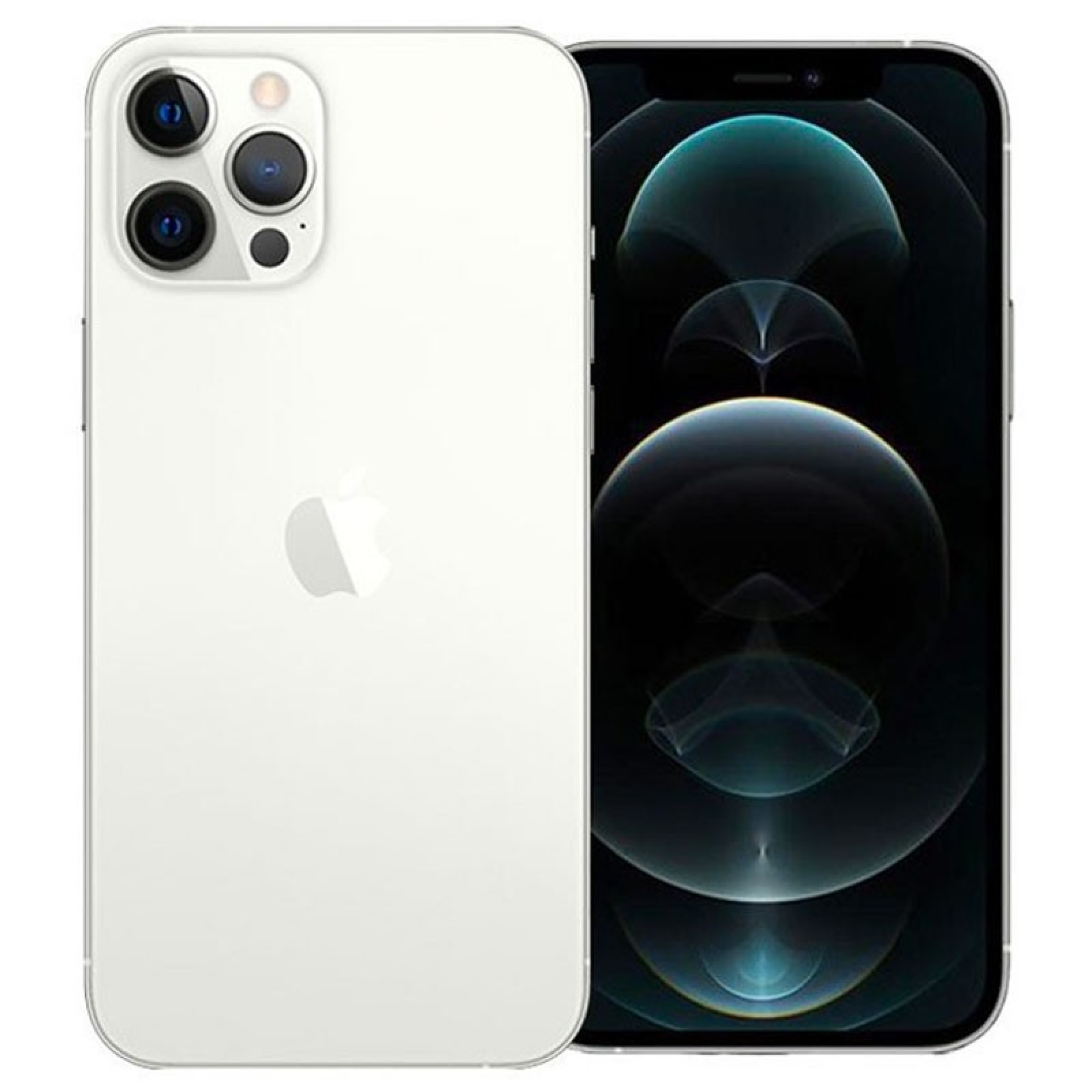 iPhone 12 Pro Max 256 Go Argent Excellent