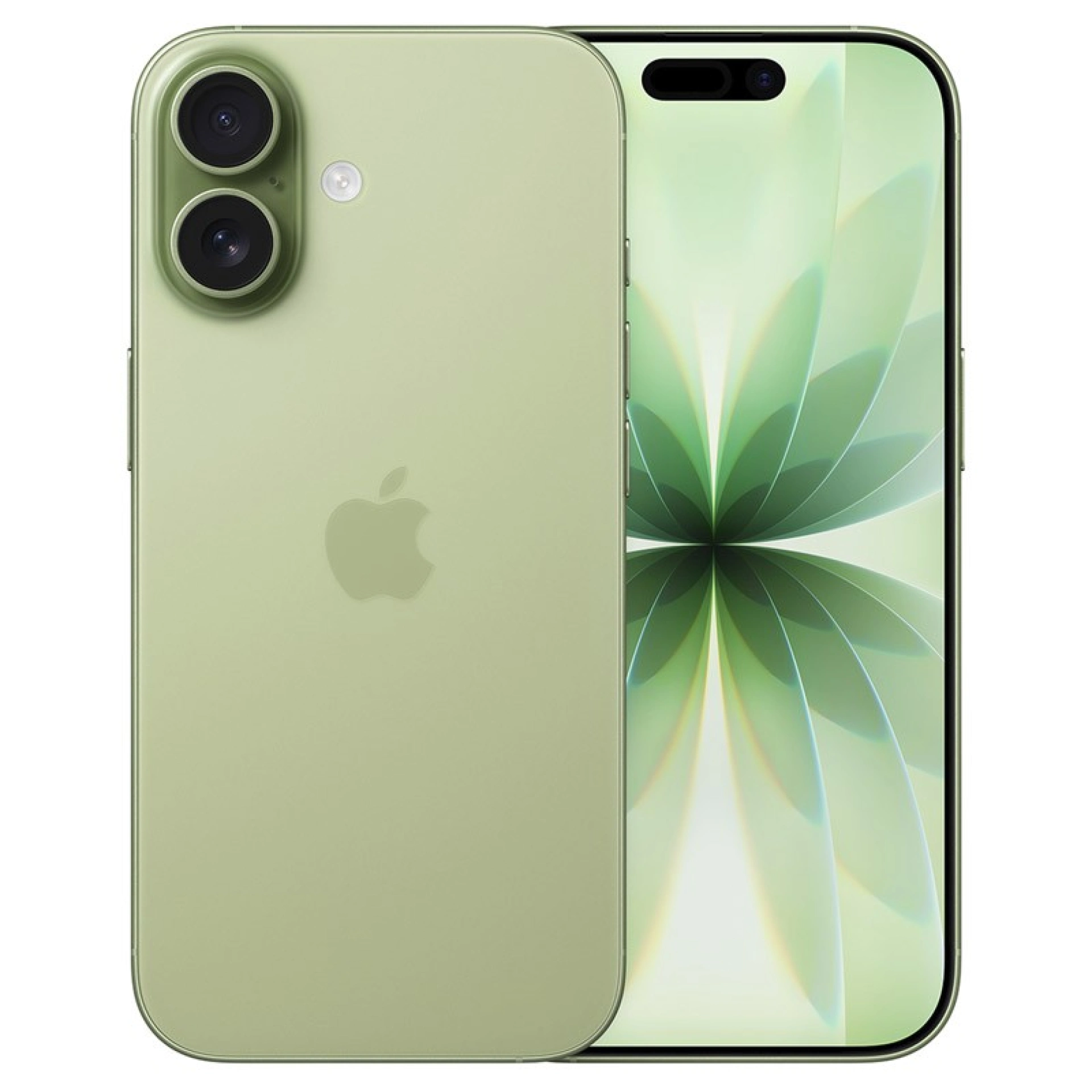iPhone 17 256 Go Excellent Sauge