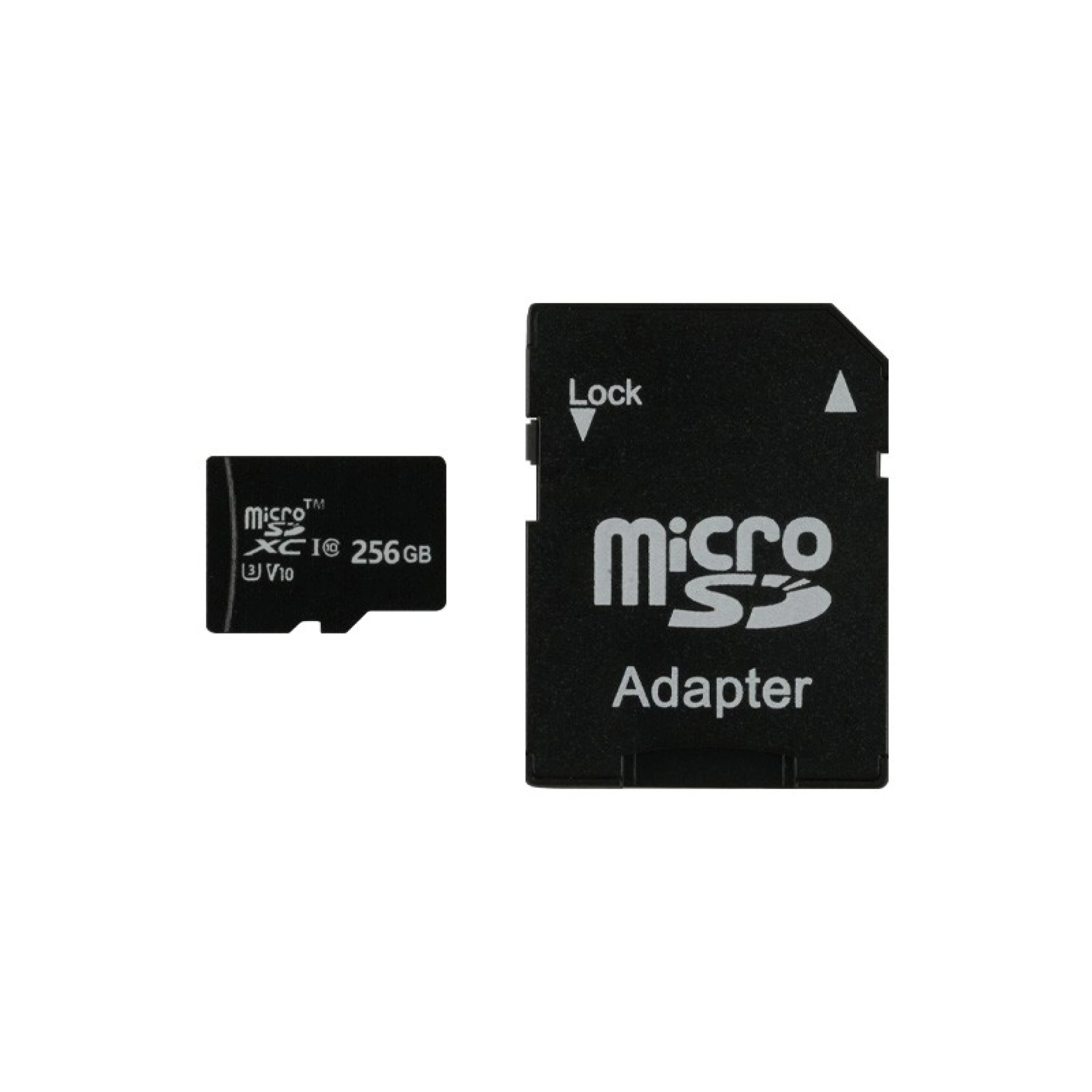Carte Micro SD 256 Go