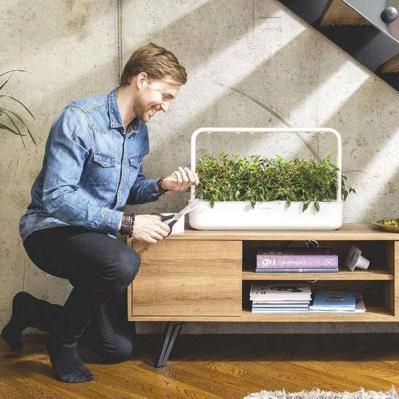 Connaissez-vous déjà Click and Grow Smart Gardens ?