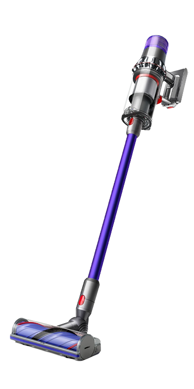 Dyson V11